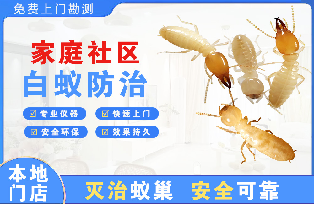 铜陵家庭社区白蚁防治