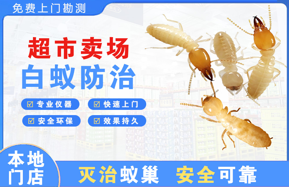 铜陵超市卖场白蚁防治