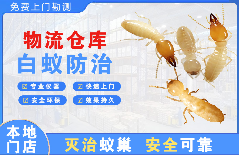 铜陵物流仓库白蚁防治