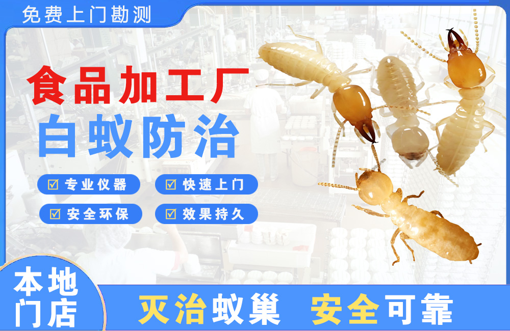 铜陵食品加工厂白蚁防治