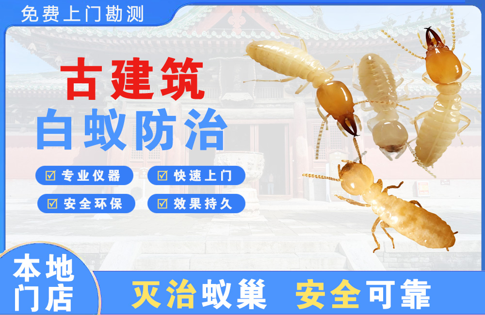 铜陵古建筑白蚁防治