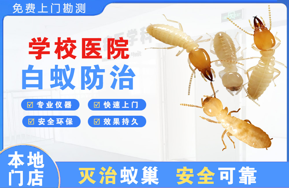 铜陵学校医院白蚁防治