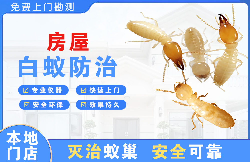 铜陵房屋白蚁防治