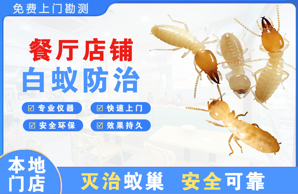 铜陵餐厅店铺白蚁防治